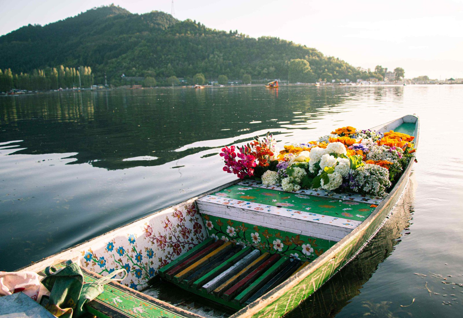 Dal Lake Tour